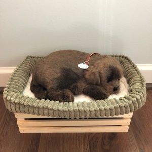 // perfect petzzz chocolate lab sleeping puppy toy